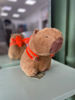 Kép: Capybara rákos hátizsákkal