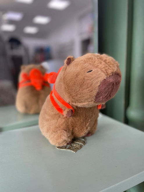 Kép: Capybara rákos hátizsákkal