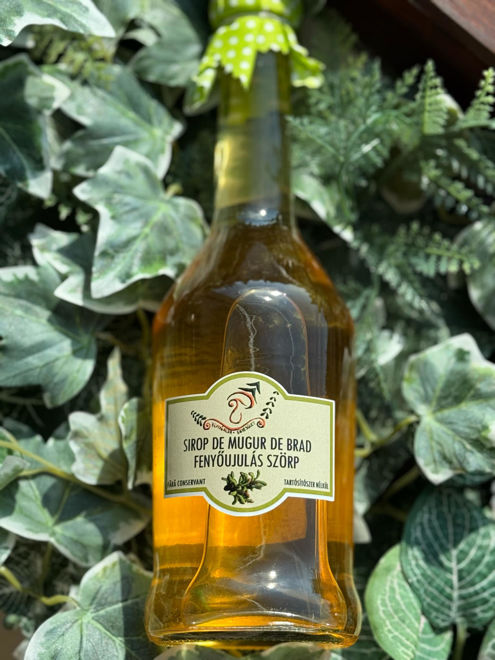 Kép: Sirop Fenyőújulás Szörp