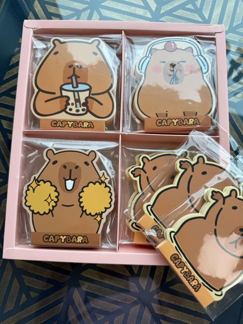Kép: Capybara Jegyzettömb