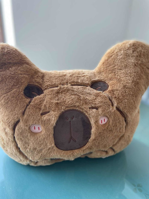 Kép: CapyBara Plüss Puha Párna